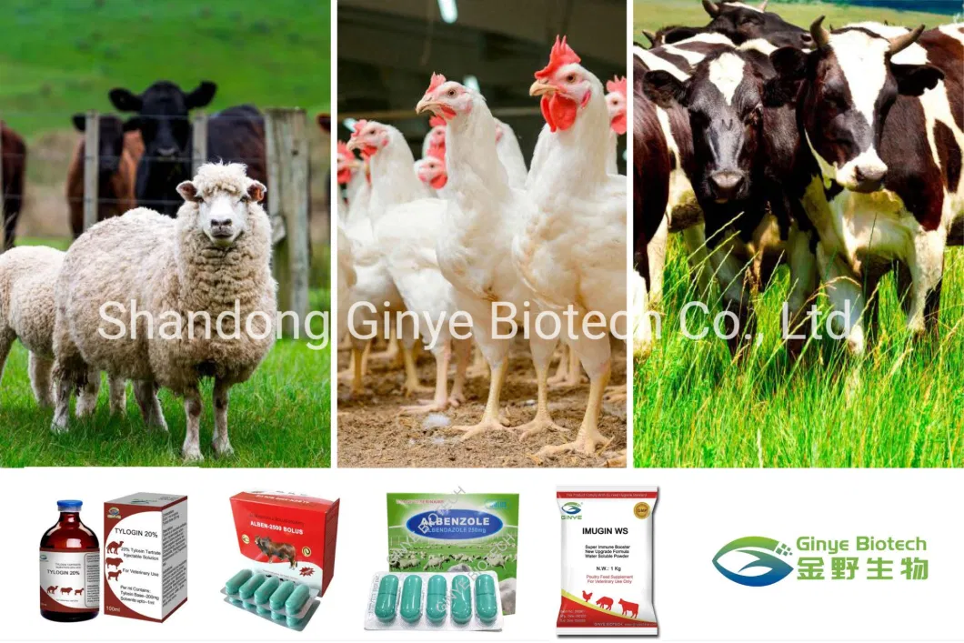 Veterinary Feed Additive Toxin Binder for Poultry Cattle Feed Toxin Release Price