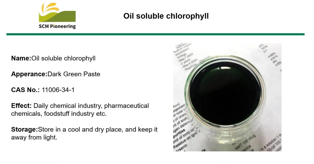 Natural Colorants Oil Soluble Chlorophyll for Food, Pharmaceutical